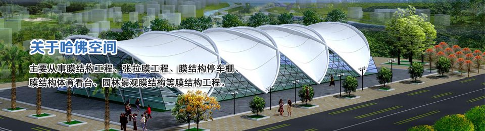 膜結構公司.jpg